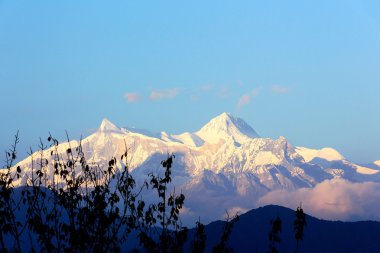 Bağlar Annapurna IV ve Dhampus-Nepal görülen II. 0524