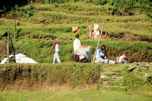 Homens nepaleses a renovar colchão de lã. Pothana-Nepal. 0546 — Fotografia de Stock
