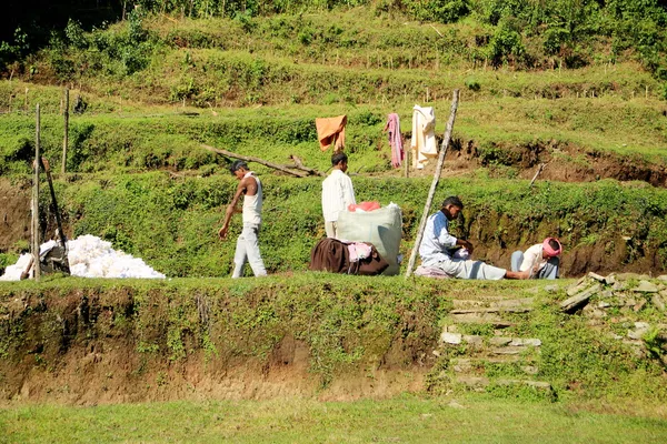 Nepali men renewing woolen mattress. Pothana-Nepal. 0546 — Stock Photo, Image