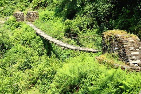 Puente colgante en la ruta Pitam Deurali-Tolka. Nepal. 0554 — Foto de Stock
