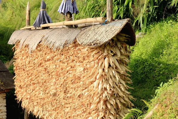 Stack of corn cobs. Tolka-Landruk-Nepal. 0564 — Stock Photo, Image