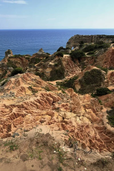 地質学的ファレシア クテイラ層の赤い砂質堆積物の帯と地滑りは 小さな流れによって浸食されたプライア マリナビーチの輪郭を構成している ラゴア アルガルヴェ ポルトガル — ストック写真
