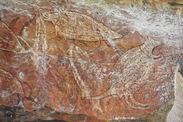 Ancestral Aboriginal rock art: wallaby -bagu- and fish paintings pigmented in yellow color at the main gallery. Ubirr site-Kakadu Nnal.Park-Northern Territory-Australia.