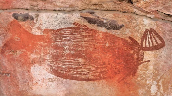 Arte Rupestre Aborigen Ancestral Figura Rellenada Pez Salmonete Nadju Con — Foto de Stock