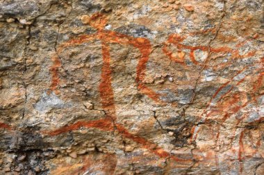 Atalarından kalma Aborjin rock sanatı: Mimi ruhu genellikle kırmızı toprak rengi hayvan kanı ve yağıyla insanların uzattığı kırılgan dans figürüne görünmez. Anbangbang Barınağı-Burrungkuy sitesi-Kakadu-NT-Avustralya