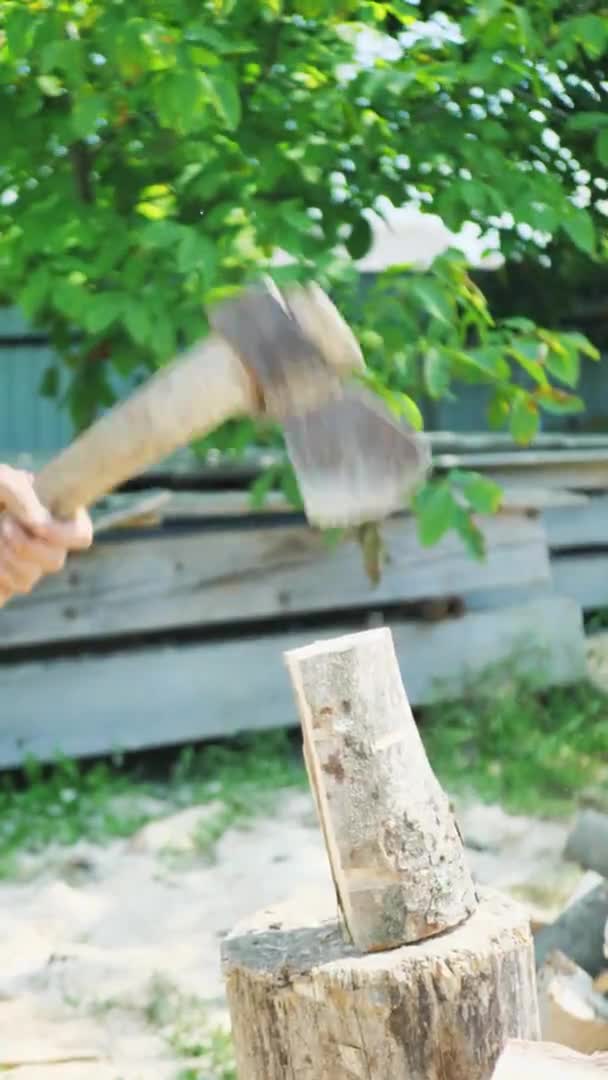 Man Hakt brandhout, Hakken van hout op een houten stam in de zomer, verticale video — Stockvideo