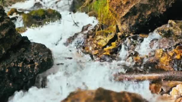 Agua corriente en un río de montaña y rocas. vídeo vertical — Vídeo de stock