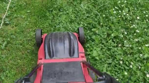 芝刈り機だ。芝刈り機付きの庭の男。静的撮影。園芸活動。庭で電動芝刈り機で草を切断します。芝刈り機だ。芝を刈る. — ストック動画