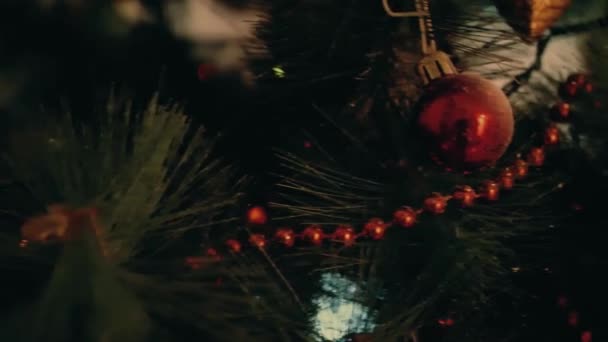 Κινηματογράφηση σε πρώτο πλάνο της αρκετά κόκκινο πλαστικά Χριστούγεννα μπάλες κρέμονται από τεχνητό δέντρο χριστουγεννιάτικο έλατο. Κύμβαλο κλίση μέχρι πλάνο τεχνητό δέντρο χριστουγεννιάτικο πράσινο με κόκκινο χριστουγεννιάτικο δέντρο μπάλες σε εσωτερικούς χώρους. — Αρχείο Βίντεο