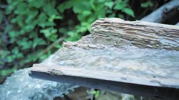 Un ruscello pulito e trasparente che scorre lungo una grondaia di legno — Video Stock
