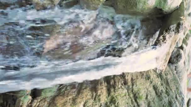 L'eau coule dans une cuvette en bois, vidéo verticale — Video