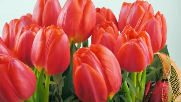 Kytice krásných červených tulipánů se zelenými listy točícími se na točitém stole. Zpomalte 4k. Koncept pro svátky — Stock video