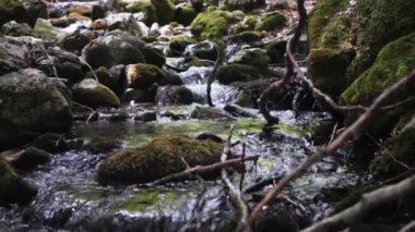 Dağ Nehri Taş Kayalarla Akıyor