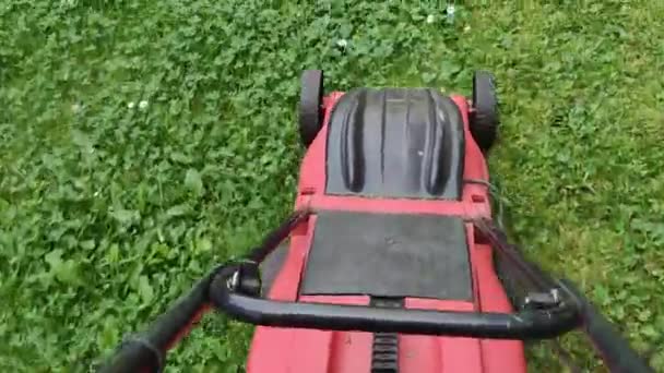 Rasaerba elettrico. Uomo in giardino privato con tosaerba. Colpo statico. Attività di giardinaggio. Erba da taglio con tosaerba elettrico guidato in giardino. tosaerba. falciare il prato. — Video Stock