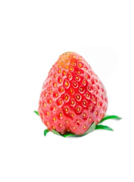 Baies rouges, une fraise sur fond blanc — Photo