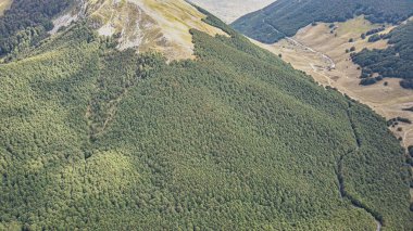 Gökyüzü manzaralı orman ağacı, yağmur ormanı ekosistemi ve sağlıklı çevre konsepti ve arka plan, yukarıdan yeşil ağaç manzarası dokusu, web pankartı için boşluk kopyala