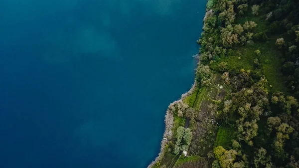 Diretamente acima da vista do caminho em uma floresta ao longo de um lago — Fotografia de Stock