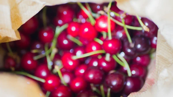 Close up of a bunch of ripe cherries with stems. A large collection of fresh red cherries. Ripe cherries background.