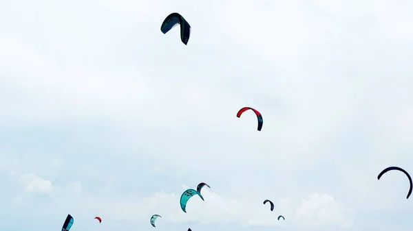 Colored parachutes of surfers on the background of blue sky.