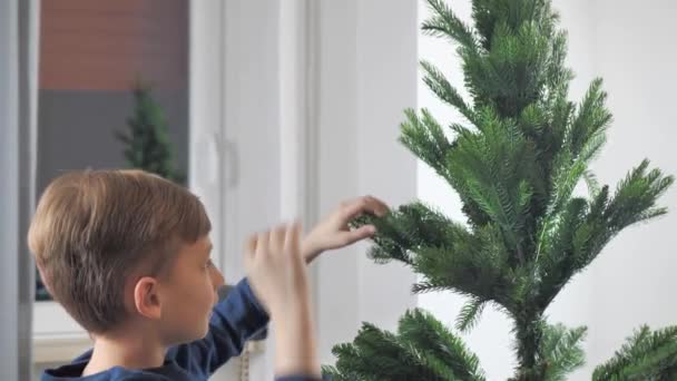 Boy Spreads Branches Christmas Tree — Vídeo de Stock