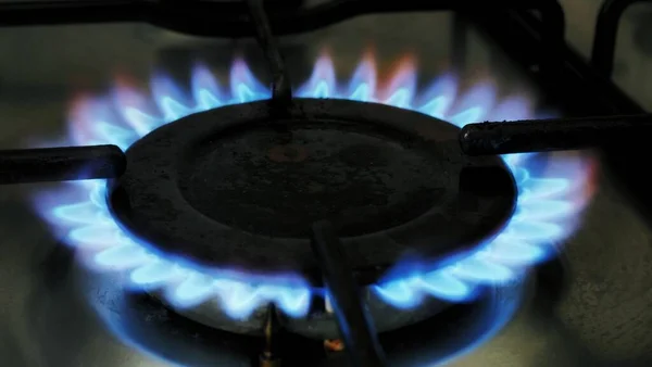 Gas ring burning with blue flames on a domestic cooker or stove.