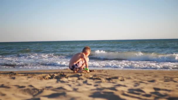Boy Digs Sand Beach Plastic Scoop Shovel — 비디오