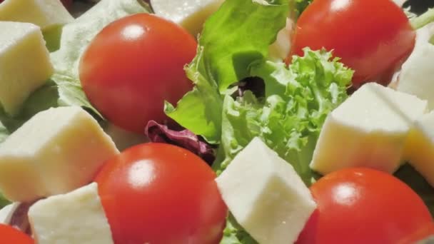 在意大利沙拉上倒入橄榄油 配上小莫扎瑞拉 西红柿 樱桃和阿鲁古拉旋转调味 — 图库视频影像