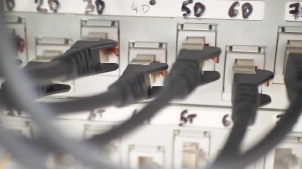 Кабели Данных Macro Shot Ethernet Подключаются Маршрутизатору Мигающими Огнями Телекоммуникации — стоковое видео