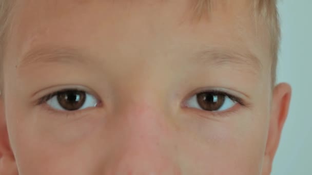 Красивое Дитя Смотрит Камеру Портрет Маленького Симпатичного Мальчика Коричневые Глаза — стоковое видео