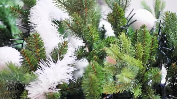 Boy Spreads Branches Christmas Tree Vertical Video — Vídeos de Stock