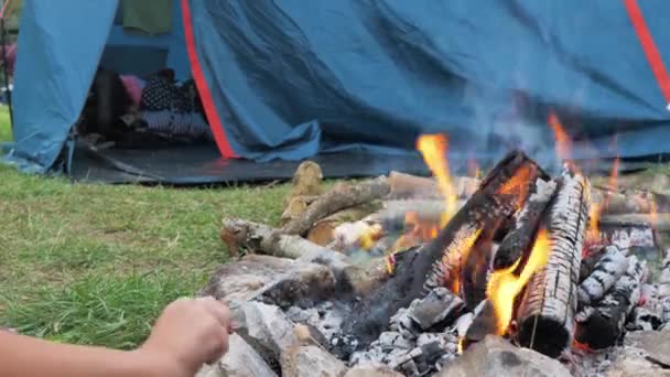 Marshmallows Fire Tents Close Video Food Being Grilled Campfire Tent — Wideo stockowe