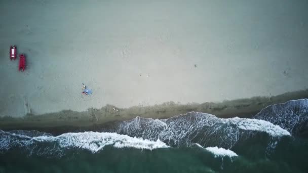 Aerial Front View Beach Sea Sand Palms Drone View Beautiful — Wideo stockowe