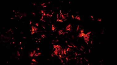 Parlayan Kömür ve Ateşin Süper Yavaş Çekimi Siyah Arkaplanda İzole Edildi.