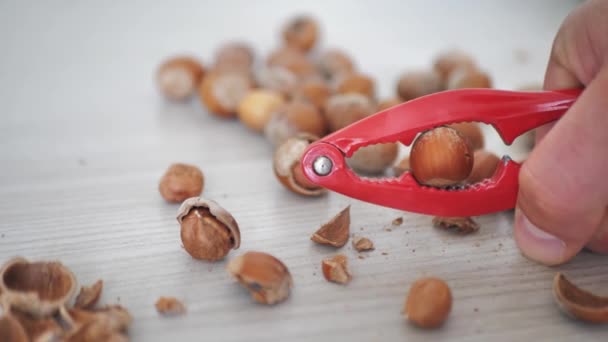 Hazelnuts Split Nutcrick Wooden Background — Wideo stockowe