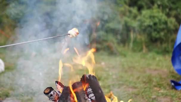 Egy Közeli Videó Amin Ételt Grilleznek Egy Tábortűz Felett Egy — Stock videók