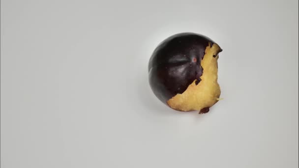 Δαμάσκηνο Τρώγεται Αργά Πρωτότυπο Κινούμενο Βίντεο Ώριμα Φρούτα Και Υγιεινά — Αρχείο Βίντεο