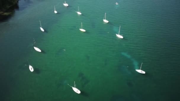 Fly Sailboats Anchored Bay Lake — Stock video