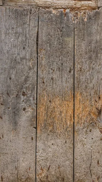 Portes Bois Dans Toute Leur Texture Leur Beauté Naturelle Pourrie — Photo