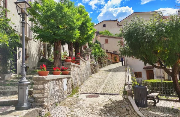 意大利一个中世纪村庄的院子里 一个意大利城镇的街道上 有许多粘土罐和花瓶 上面装着植物和花卉 — 图库照片