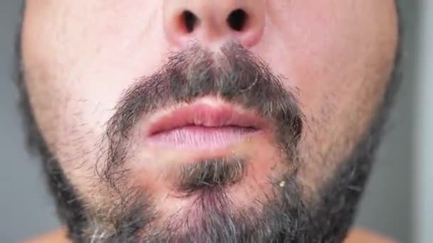 Çiğneyen Bir Adamın Sakallı Yüzüne Yakından Bakın — Stok video