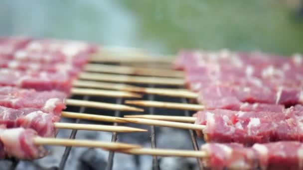 Grillade Grillar Rostat Lammkött Traditionell Italiensk Arrosticini Rostat Lammkött — Stockvideo