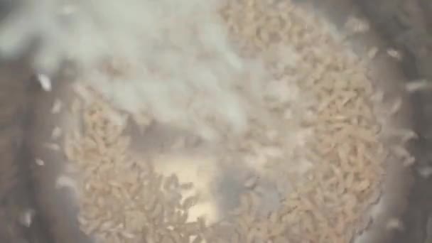 金属製の容器に落ちる乾燥米の動きが遅いマクロを閉じる — ストック動画