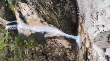 Dikey video: nehir ya da akarsu akıntısı akıyor ve düşüyor. Doğa, manzara ve çevre kavramı.
