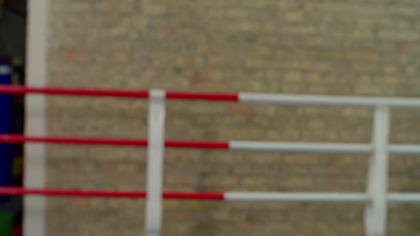 Közelkép a boksz kesztyű ütő együtt, szimbolizálja a sportszerűség gyűrű — Stock videók