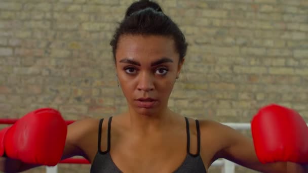 Portrait of determined athletic black female fighter clasping boxing gloves — Vídeo de Stock
