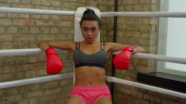 Determined motivated sporty fit African American woman fighter ready for fight — Video Stock