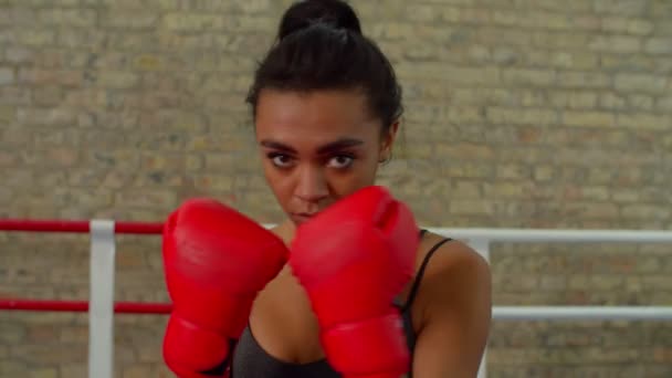 戦いの姿勢でボクシングの手袋で運動アフリカの女性戦闘機を決定 — ストック動画