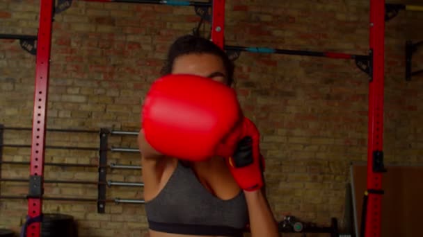 Determined sporty African American female fighter performing shadow boxing — Vídeo de Stock