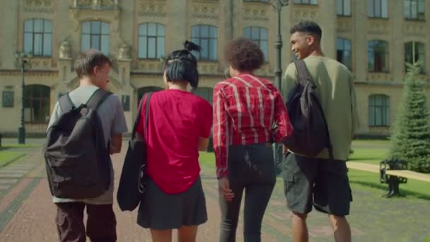Back View Cheerful Carefree Diverse Multiracial College Friends Backpacks Chatting — Stockvideo