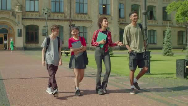 Glücklich Attraktive Vielrassige College Studenten Mit Lehrbüchern Und Rucksäcken Die — Stockvideo
